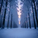 Ash & Snow