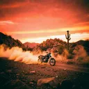 Fire & Freedom