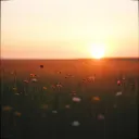 Blessed by His Love