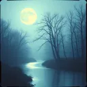 Hush of the Moon