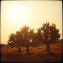 Geheimnisvolles Kreta
