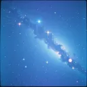 You-niversal Love