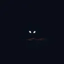 Boo