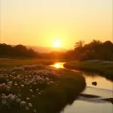 Rejoice in the beauty of life