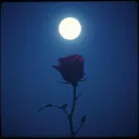끝난 사랑 (이젠 안녕)Over Love (Now Goodbye)