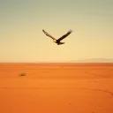 Freedom to Live