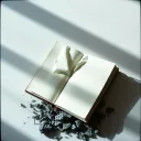 Gone Unspoken