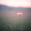 You