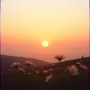 A New Life Rising