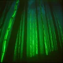 Walking in The Woods Freestyle