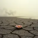 I STILL.SEE BEAUTIFUL