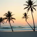 Sonne, Strand & Banger Vibes