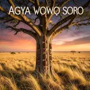 Agya wowɔ soro