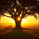Wilson's Vision: A Legacy of Hope