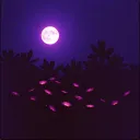 Furie nocturnes