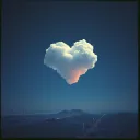 One wish