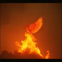 RISE FROM THE ASHES_COVER