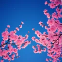 Starlit Promise (Under Sakura Skies)