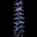 Chains of the Flesh
