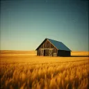 Country Livin'