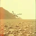 War
