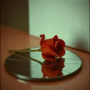 "Exit Wound"