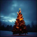 Silent Night, Screaming Heart