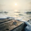 Between the Tide and Shoreline
