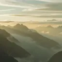 太極大壯的人