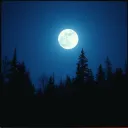 Cursed Night Walker (Epic Mix)