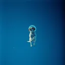 LAIKA