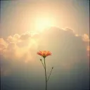 Touch of Faith