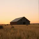 Cowboy Farm