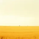 Texas land