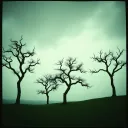 Origami Trees