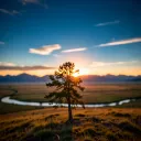 Wyoming Dream