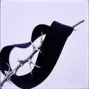 VELVET VIOLENCE
