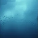 Rainy Day Reflections