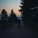 Night Whispers