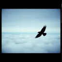 Breaking Free