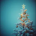 Winter Wonderland of Love