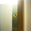 心动