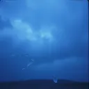 The Eidolon ( Shards of Eden)