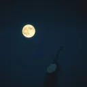 Moonlight’s Run