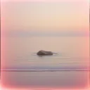Peace in Letting Go
