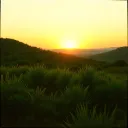 Pilipinas