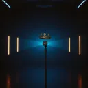 Crown on Arrival