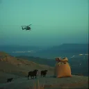 Pacas y libras