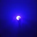 Steal the Light