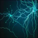 6 Autonome Symbiose   Englisch